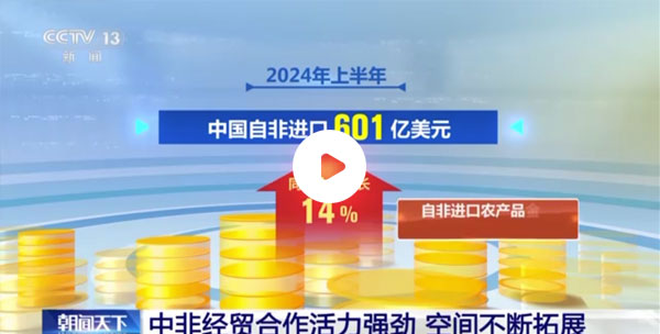 中非贸易伙伴十五载 经贸合作再升级