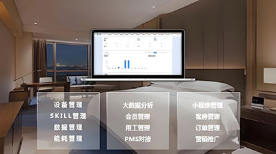 酒店数字化运营管理（BRICS-25-38）